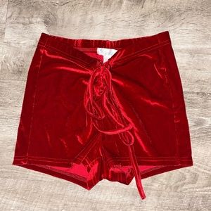 Red Velvet High Waisted Shorts